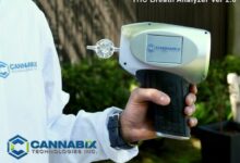 Cannabix technologies and omega laboratories inc advance marijuana breathalyzer technology dr bruce goldberger to present at society of forensic toxicologists conference