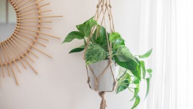 Diy hanging planter ornament