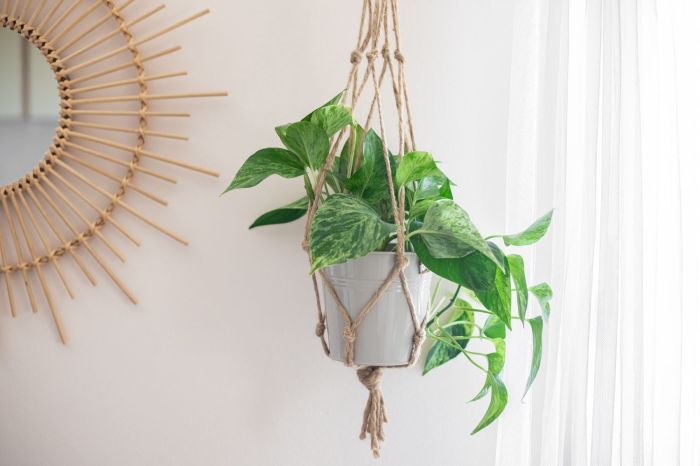 Hanging pots diy indoor planters plant ideas plants planter flower wall garden beautify gorgeous choose board Diy hanging planter ornament