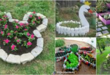 5 easy diy glass planters