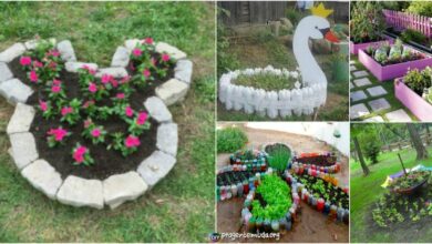 5 easy diy glass planters