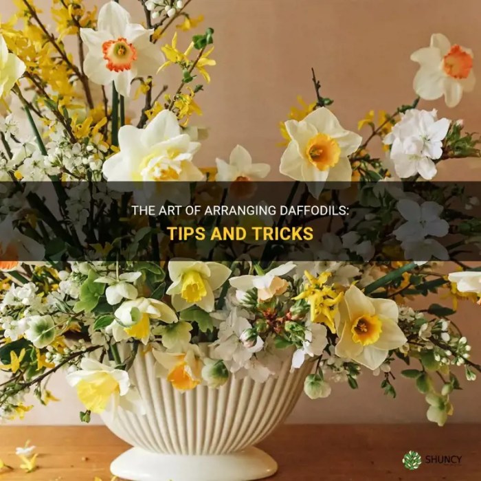 How to arrange daffodils