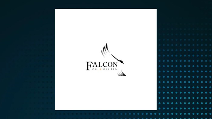 Takeover netent evolution meeting shareholders offer holding bid latter approved than been favor vote has Falcon oil gas ltd notice of special meeting of shareholders and management information circular