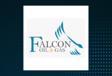 Falcon oil gas ltd notice of special meeting of shareholders and management information circular