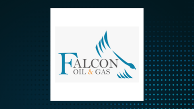 Falcon oil gas ltd notice of special meeting of shareholders and management information circular
