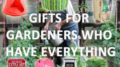 Gifting ideas for gardening enthusiasts farrar and tanner