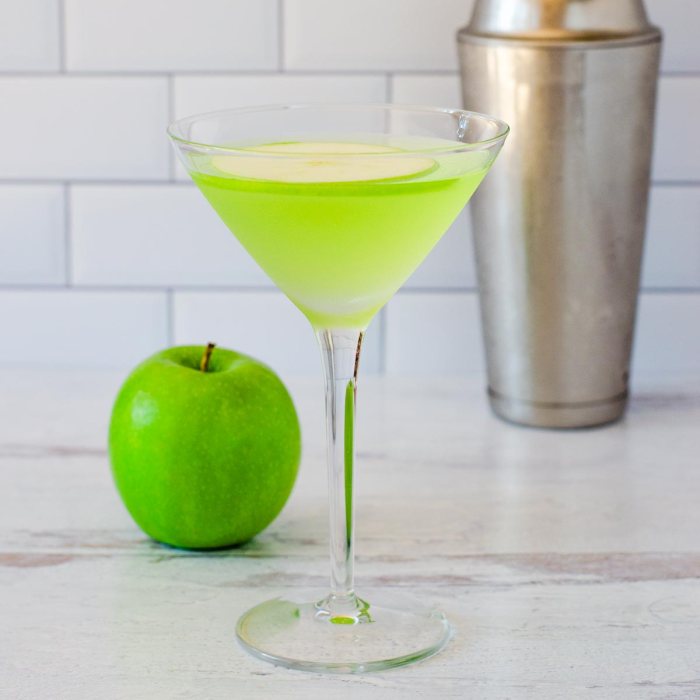 Martini mixolopedia
