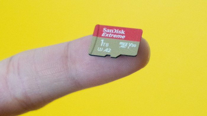 1tb micro sd nintendo switch