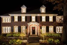 At home with anna dorfman