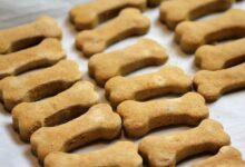 Peanut butter and pumpkin dog treats