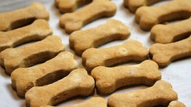 Peanut butter and pumpkin dog treats