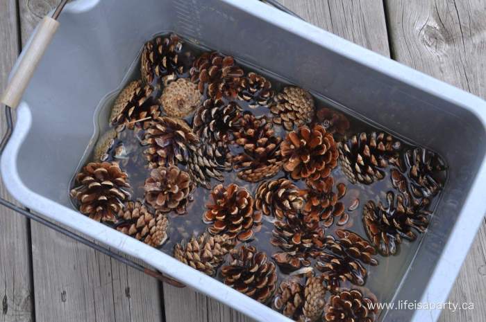 How to bleach pinecones