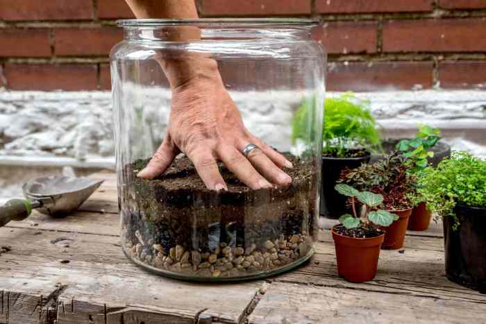 Make your own floating terrariums