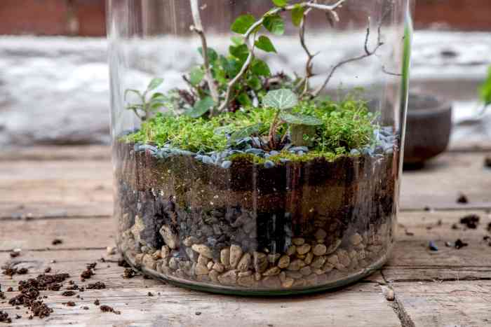 Make a terrarium desk organizer