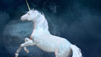 Are unicorns finally extinct