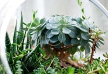 Terrarium planter table runner