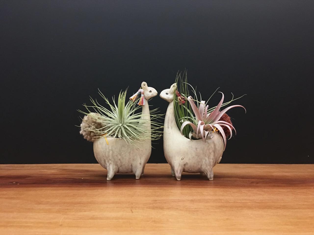 Make your own llama vase