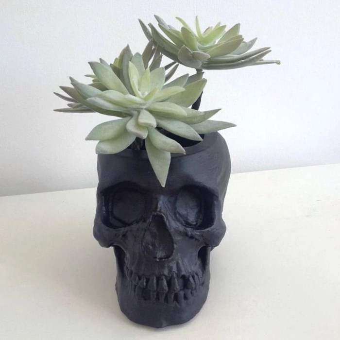 Try this skull succulent planter