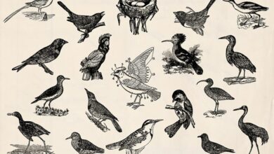 Vintage inspired hanging birds