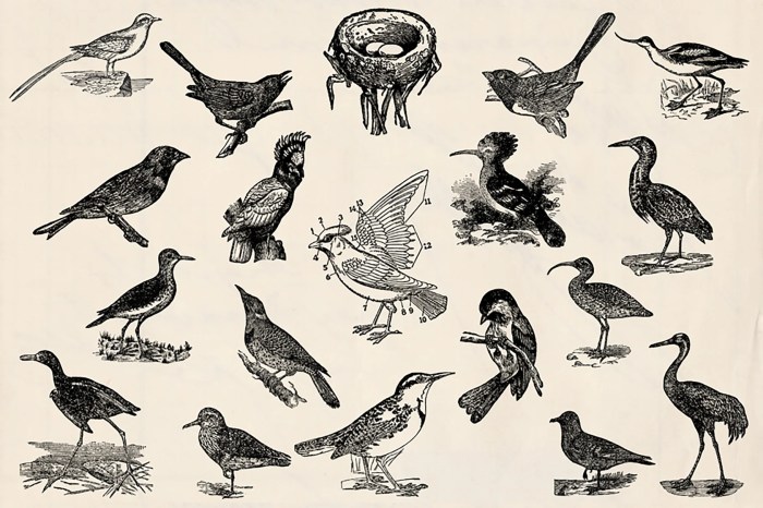 Vintage inspired hanging birds