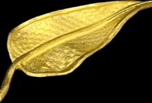 Gold leaf brooches for fall
