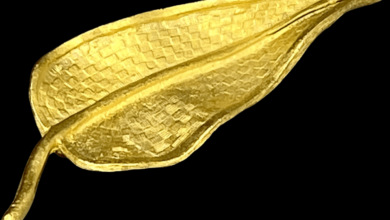 Gold leaf brooches for fall