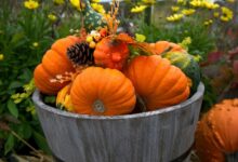 Tips for filling a fireplace with pumpkins