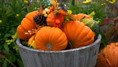 Tips for filling a fireplace with pumpkins