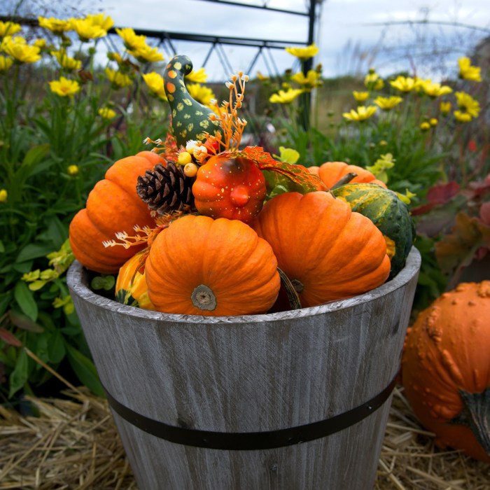 Tips for filling a fireplace with pumpkins