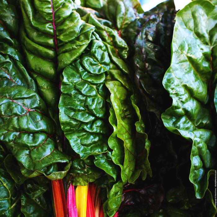 Rainbow kale and pasta soup