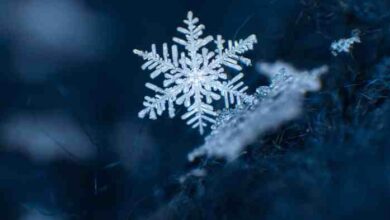 Giant snowflake light up marquee