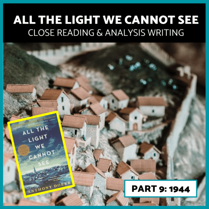 All the light we cannot see discussion