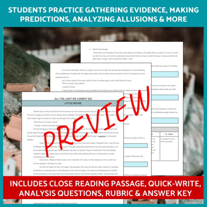 All the light we cannot see discussion