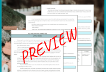 All the light we cannot see discussion