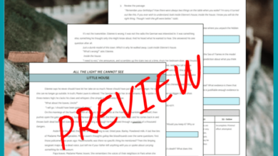 All the light we cannot see discussion