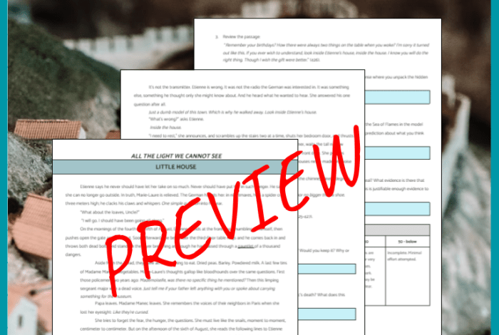 All the light we cannot see discussion