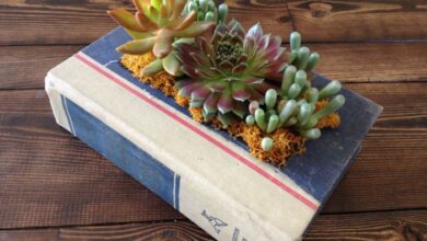 Turn an old book into a new purse