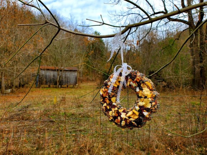 Diy tiny gourds wreath