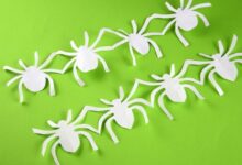 Easy spider garland diy