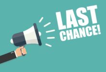 Last chance our etsy collection is closing