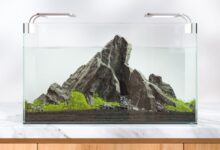 Try this aquarium rock planter