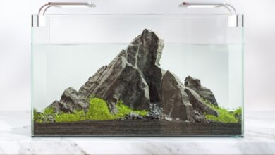 Try this aquarium rock planter