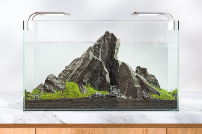 Try this aquarium rock planter