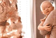 Introducing nova winter larson