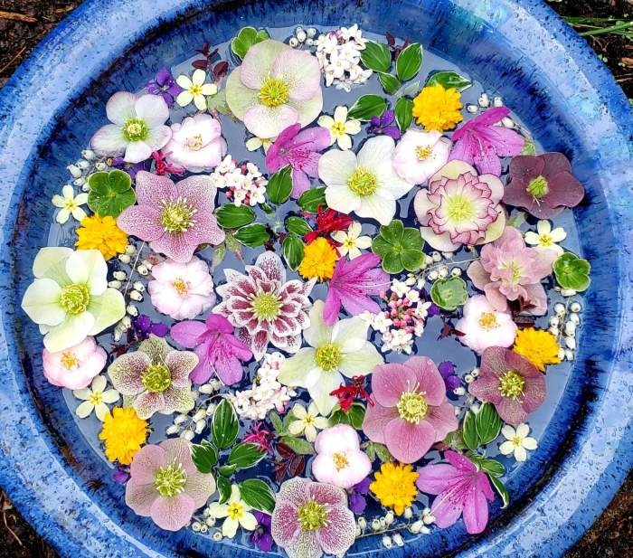 Easy floating floral arrangement diy