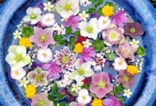 Easy floating floral arrangement diy