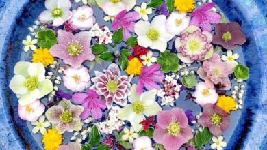 Easy floating floral arrangement diy