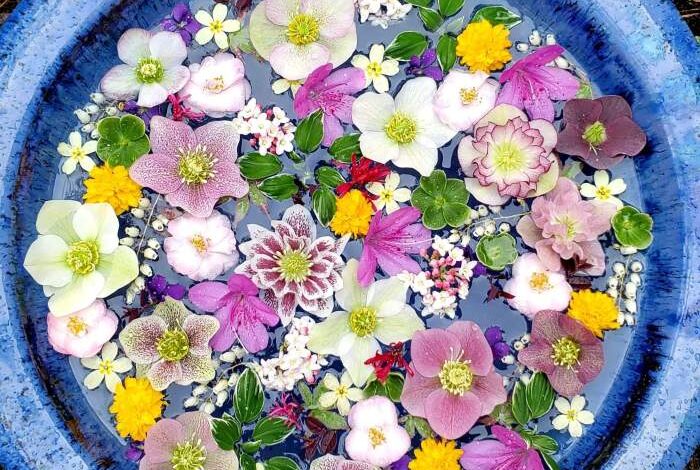 Easy floating floral arrangement diy