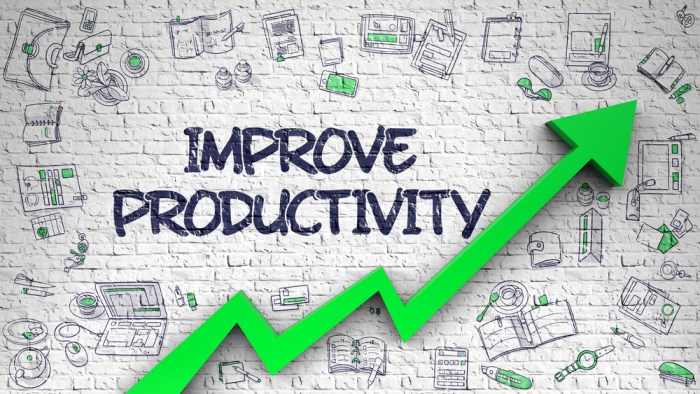 Productivity maximize rosymelissa