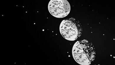 Silver moon phases wall art